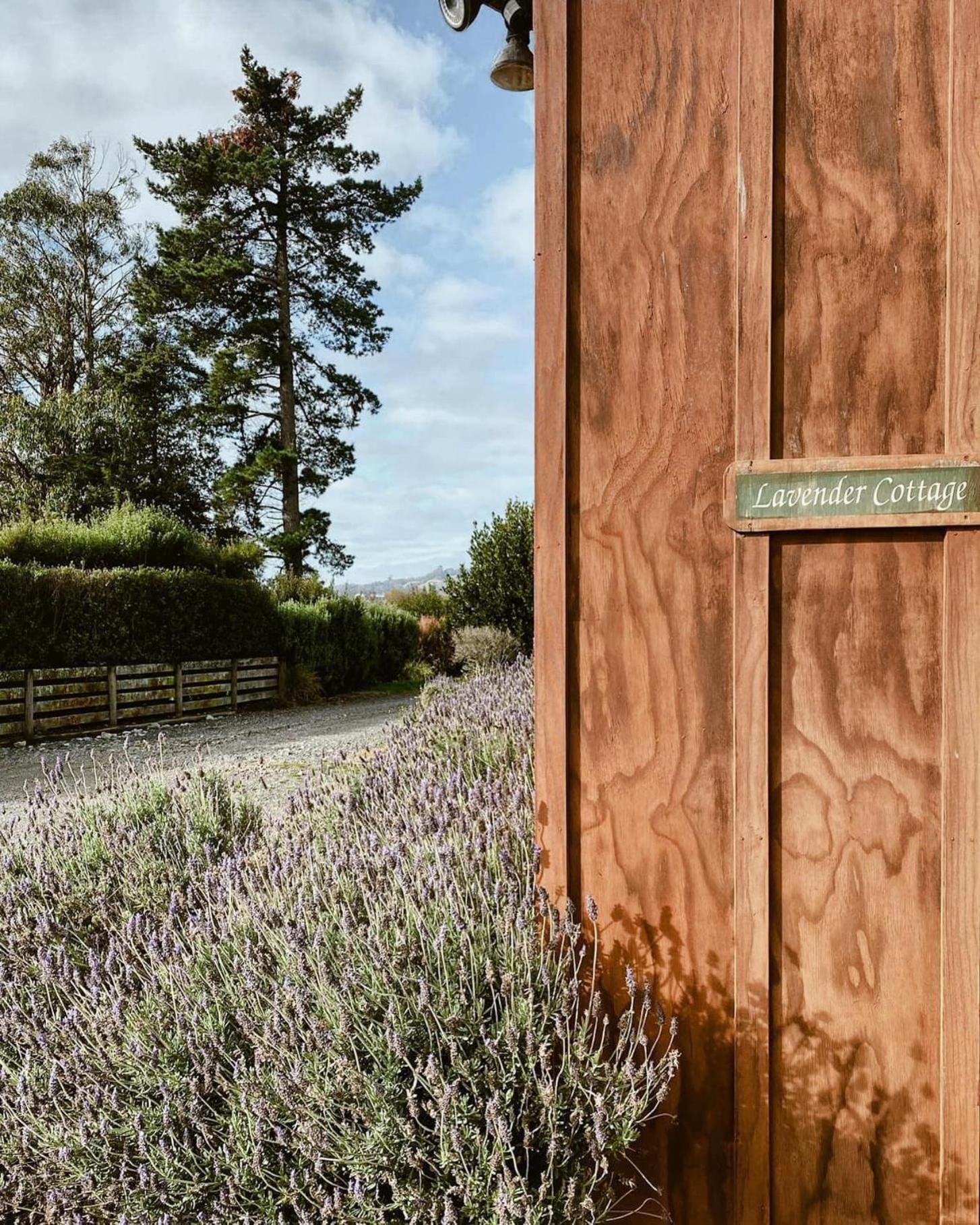 Havelock North Holiday Park Exterior foto